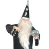 Smiffys Wigs Wizard Beard & Hair