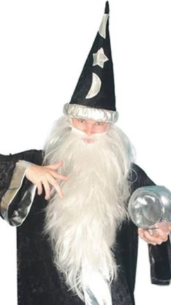 Smiffys Wigs Wizard Beard & Hair