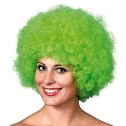 Party Dudes Wigs Afro Or Clown Wig Green