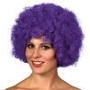 Party Dudes Wigs Afro Or Clown Wig Purple