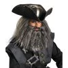 Disguise Wigs Black Beard Wig And Beard Kit