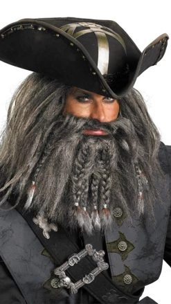 Disguise Wigs Black Beard Wig And Beard Kit