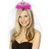 Party Dudes Stags & Hens Bride To Be Tiara And Veil