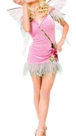 Buy Playboy Fantasy Fairy Buy Womens Costumes
